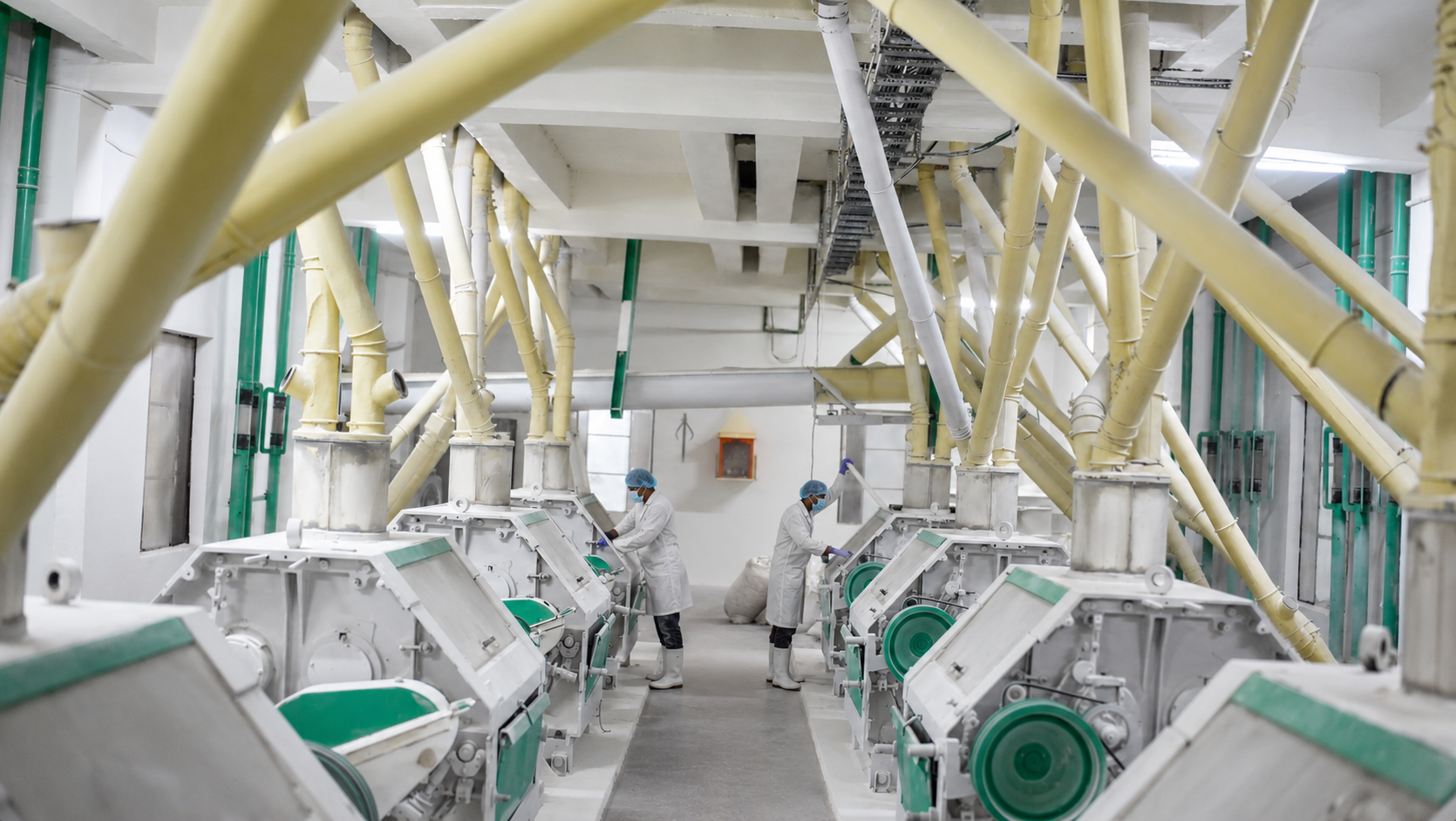 Mahamaya Foods & Grains Pvt Ltd (MFGPL)
